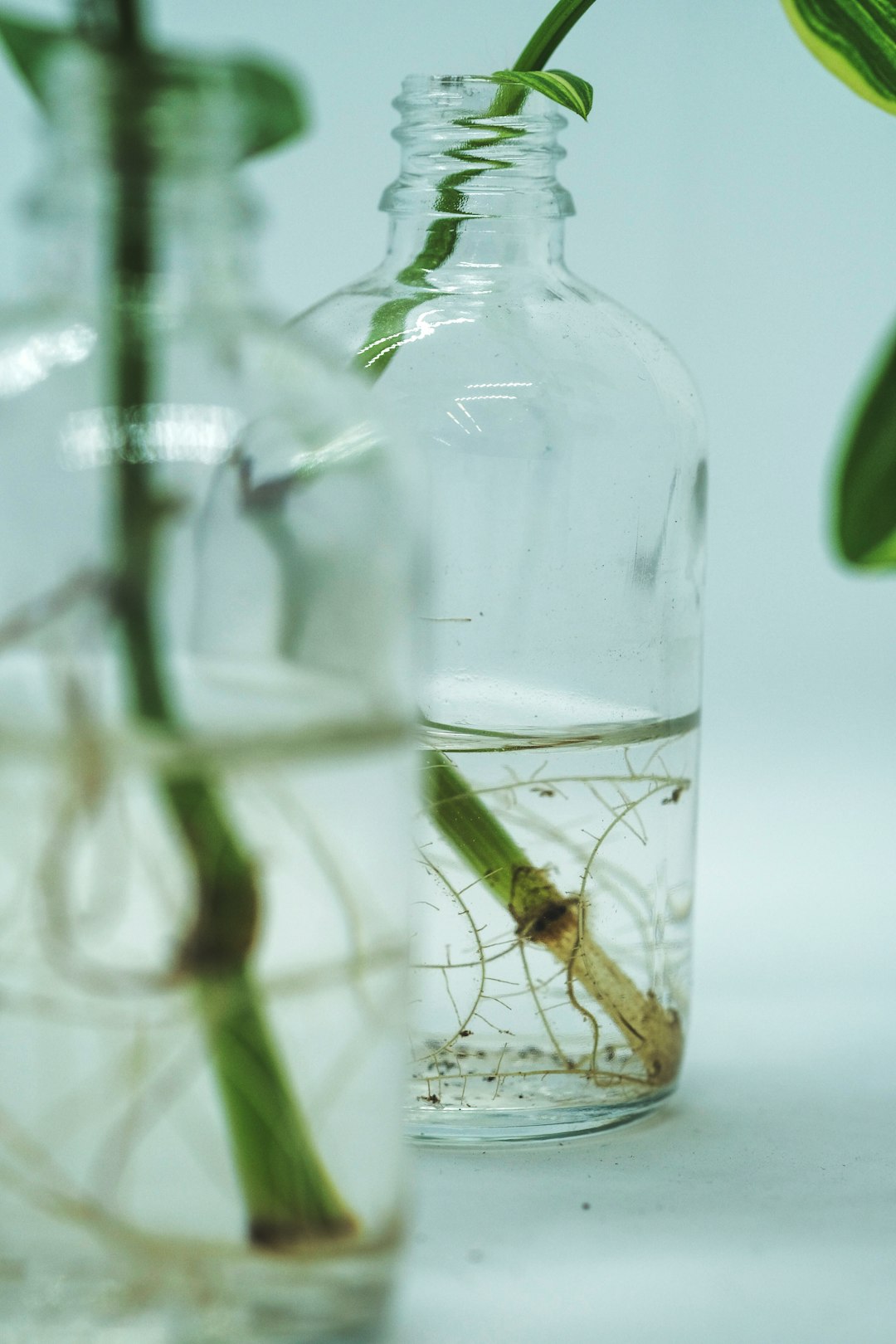 Biotecnología imagen 1