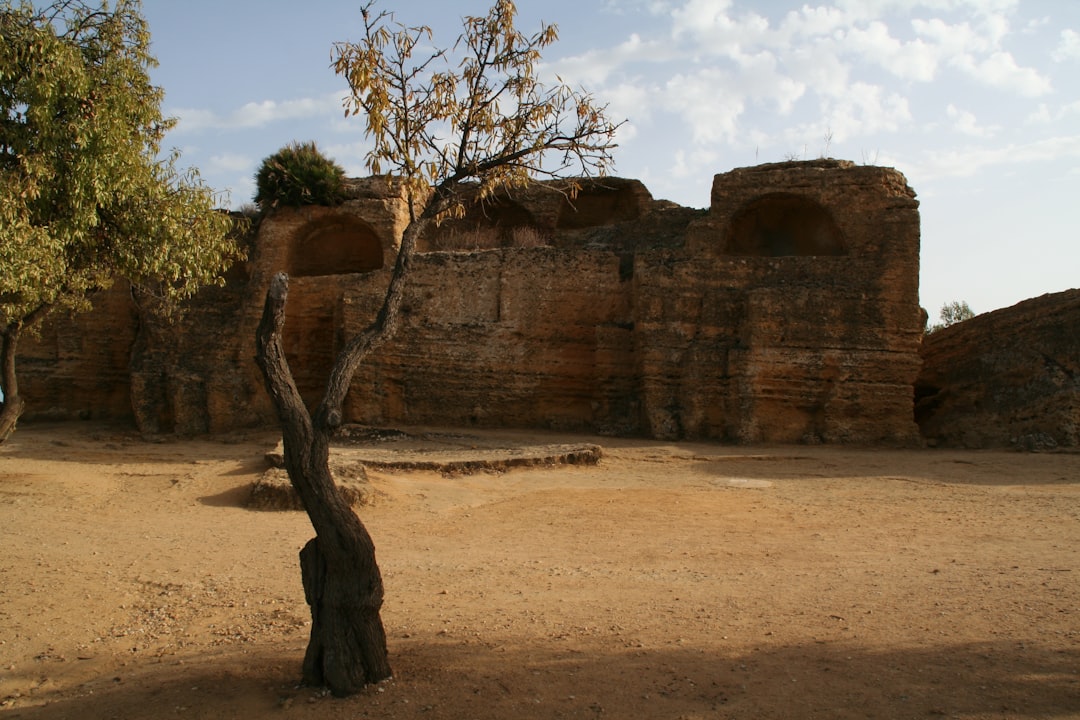 Patrimonio Cultural imagen 2